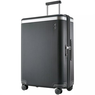 {{photo.Alt || photo.Description || 'Чемодан Dynasty L, темно-серый'}}