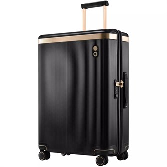 {{photo.Alt || photo.Description || 'Чемодан Dynasty L, черный'}}