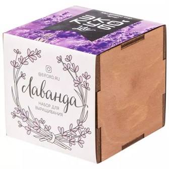 {{photo.Alt || photo.Description || 'Набор для выращивания «Экокуб Lite», лаванда'}}