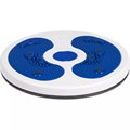 Диск здоровья вращающийся SpinTeam, белый с синим 16328.64