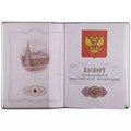 Обложка для паспорта Dorset, серая 12650.10