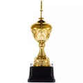 Кубок Top Star, золотистый 18341.01