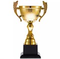 Кубок Spica, большой, золотистый 18337.01