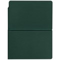 Ежедневник Flexpen Bright, недатированный, зеленый 21168.90