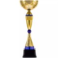 Кубок Awardee, большой, синий 18352.40