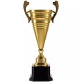 Кубок Recordsman, золотистый 18355.01