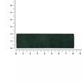 Лейбл кожаный Pasek, зеленый 16233.90