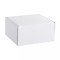Коробка Piccolo, белая 3399.60