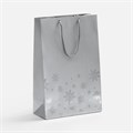 Пакет Wintry, серебристый 25024.10