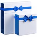 Коробка складная Gallant, M, белая с синим 24029.64