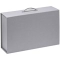 Коробка Big Case, серая 21042.10