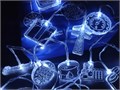 Гирлянда с индивидуальными фигурками AcryLED на заказ 18962.01