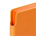 Ежедневник Flexpen Color, датированный, оранжевый 15061.20