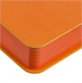 Ежедневник Flexpen Color, датированный, оранжевый 15061.20