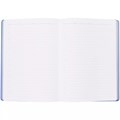 Ежедневник Flexpen, недатированный, серебристо-синий 11087.14