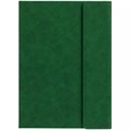 Ежедневник Flap на заказ, недатированный, зеленый 16684.99
