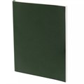 Ежедневник Flat Light, недатированный, зеленый 17876.90