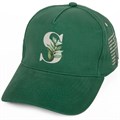 Бейсболка Standard, темно-зеленая 15847.90