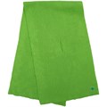 Шарф Yong, светло-зеленый (салатовый) 20511.90