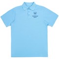Рубашка поло мужская Virma Light, голубая 2024.14