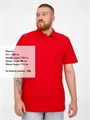 Рубашка поло мужская Virma Light, красная 2024.50