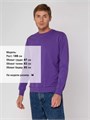 Свитшот Toima 2.0, фиолетовый 16214.78