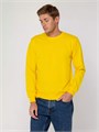 Свитшот Toima 2.0, желтый 16214.80