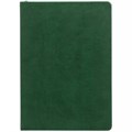 Ежедневник Romano, недатированный, зеленый 17888.99
