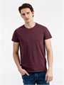 Футболка мужская Regent Fit 150, бордовый меланж 00553148