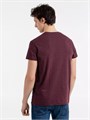 Футболка мужская Regent Fit 150, бордовый меланж 00553148