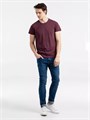 Футболка мужская Regent Fit 150, бордовый меланж 00553148