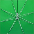 Зонт-трость Promo, зеленый 17314.90