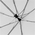Зонт складной AOC, светло-серый 7106.10