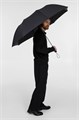 Зонт складной Big Arc, черный 17189.30