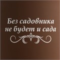 Кружка Good Morning с покрытием софт-тач, коричневая 14653.59