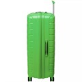 Чемодан Butterfly L, зеленый 16873.90