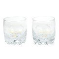 Набор из 2 стаканов для виски Sylvana 15046.00