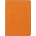 Ежедневник Basis, датированный, оранжевый 2842.20