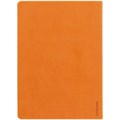 Ежедневник Basis, датированный, оранжевый 2842.20
