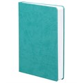 Ежедневник Basis, датированный, бирюзовый 2842.49