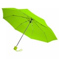 Набор Dual Umbrella, зеленое яблоко 22420.90